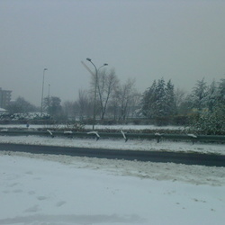 Brescia - BS - ( 02-12-2009 )